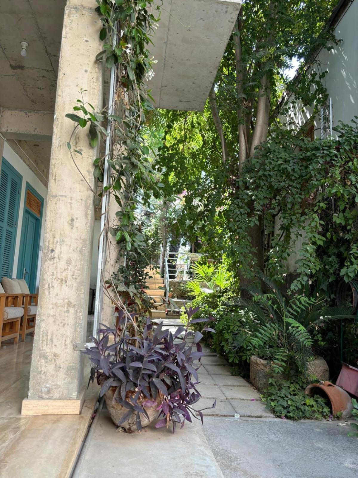 Nicosia Eagle Eye酒店 外观 照片